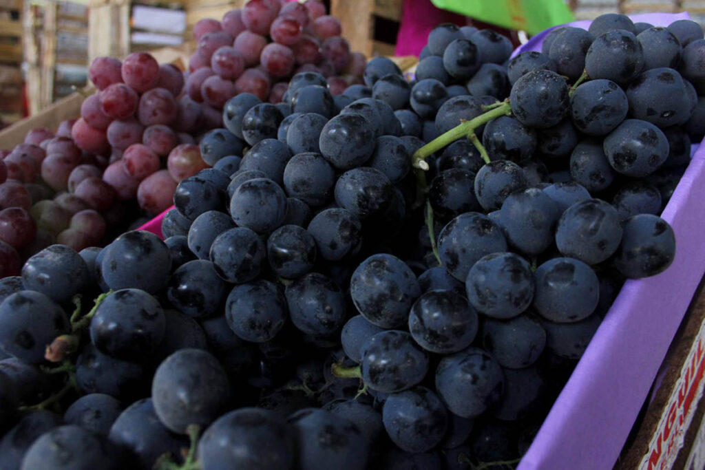 Peruvian export boom breaks records, with shipments passing 3 million tons in 2025