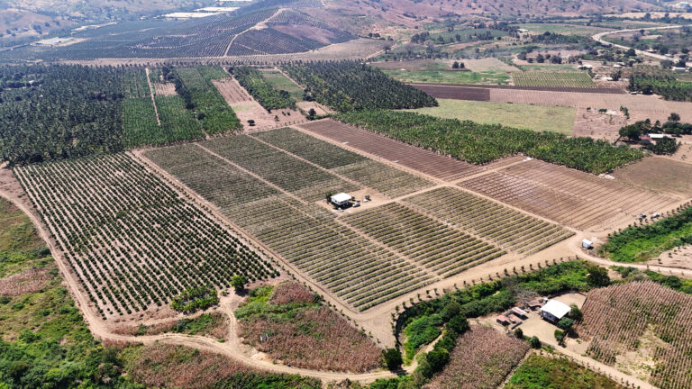 Tierra Suelta Farm in Ecuador