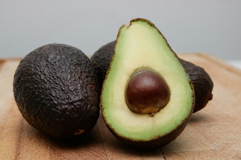 US avocado imports