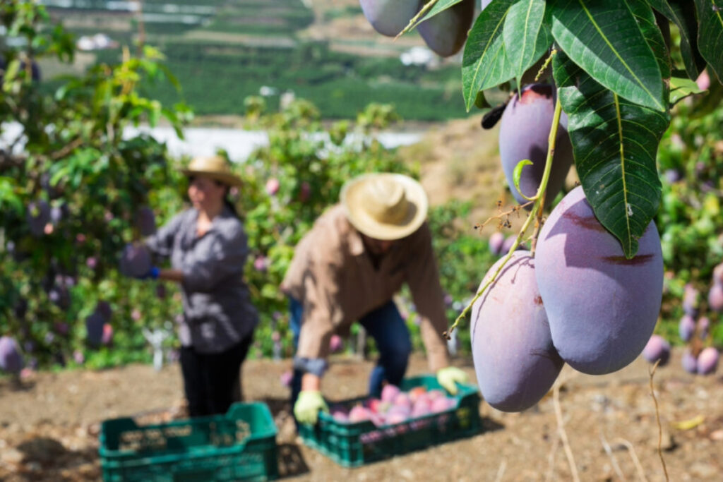 California-based Akorn Technology becomes the first US company to win the UAE FoodTech Challenge