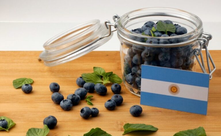 Argentinian blueberries