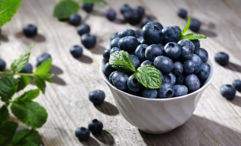 argentinian blueberries potentially