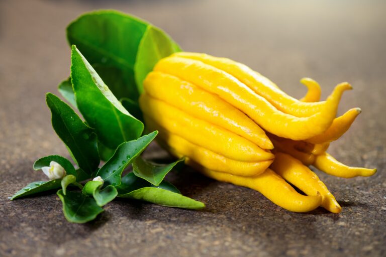 fruit trends 2026 citron