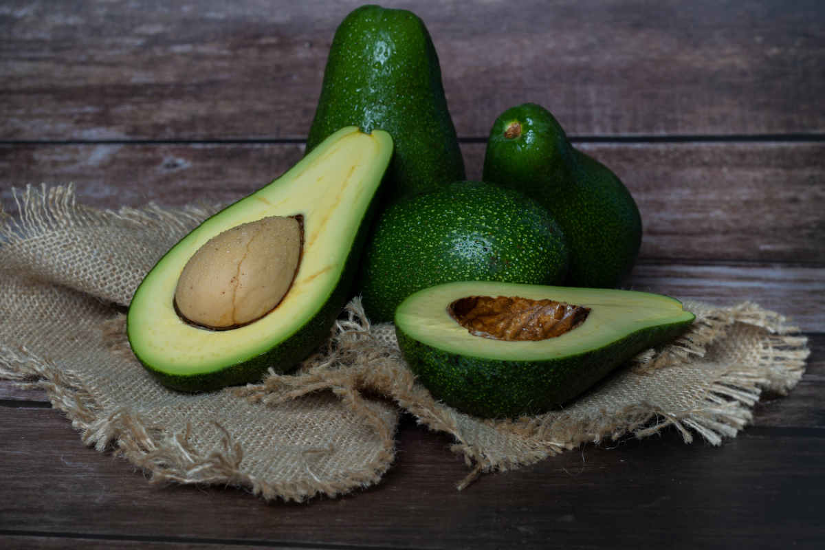 Avocado growers see signs of recovery as Florida’s beetle-driven Laurel Wilt recedes