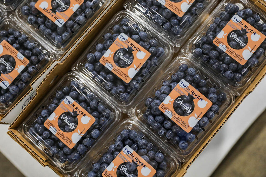 Fall Creek’s PeachyBlue blueberry drives category growth at Sprouts, showcasing power of breeding to shelf collaboration