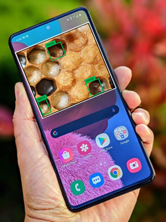 pollinaton diagnostics app