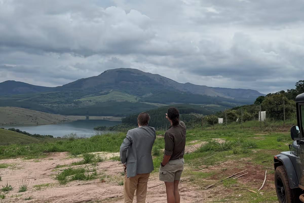 South African floods cause over $230 million damage, crippling citrus and avocado farms