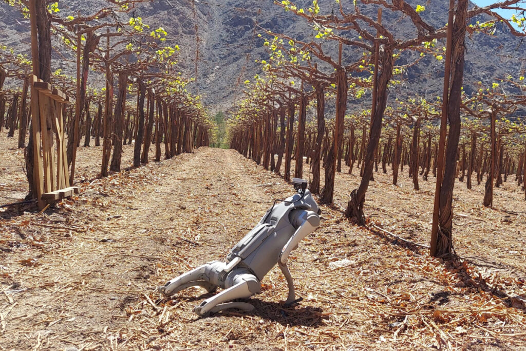 This AI-powered data-collecting robodog is both a grower’s coworker and an autonomous agronomist