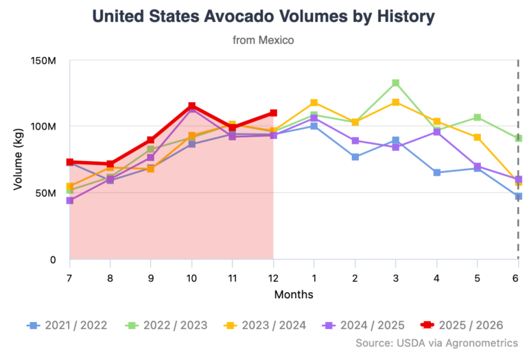 Mexico avocado season