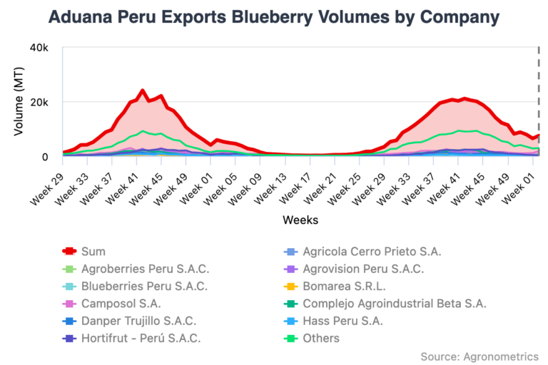 Peruvian blueberry export volumes by company