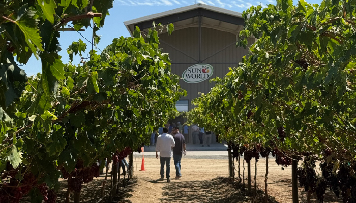 El legado de 50 años de Sun World (y lo que viene)