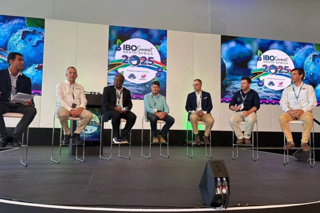 Peru will host the 2027 edition of the IBO Summit