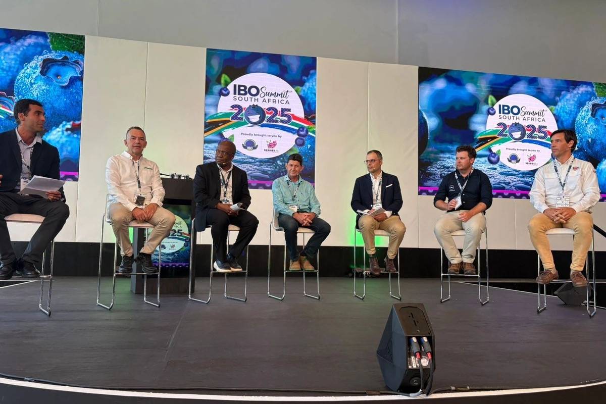 Peru will host the 2027 edition of the IBO Summit