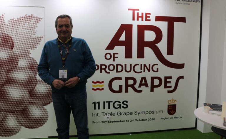 President and CEO of the Association of Producers Exporters of table grapes