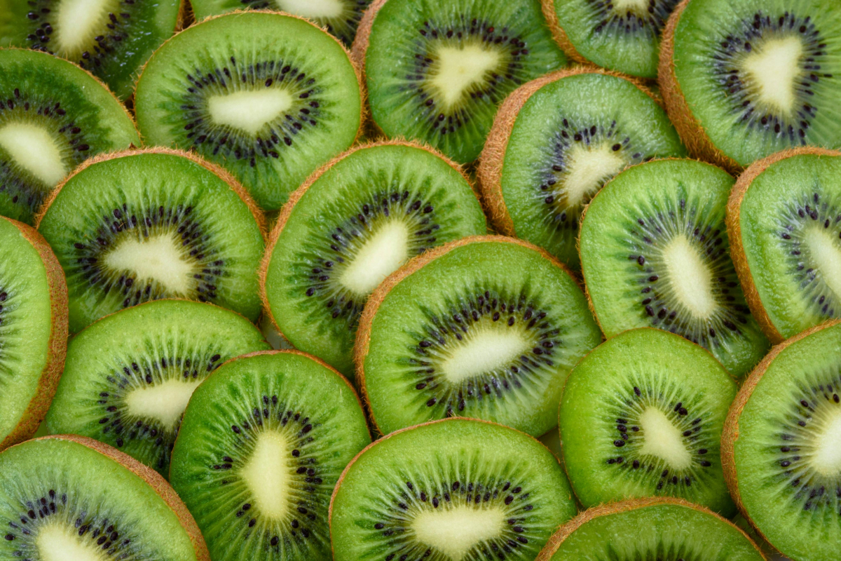 New Zealand gears up for a record kiwifruit season