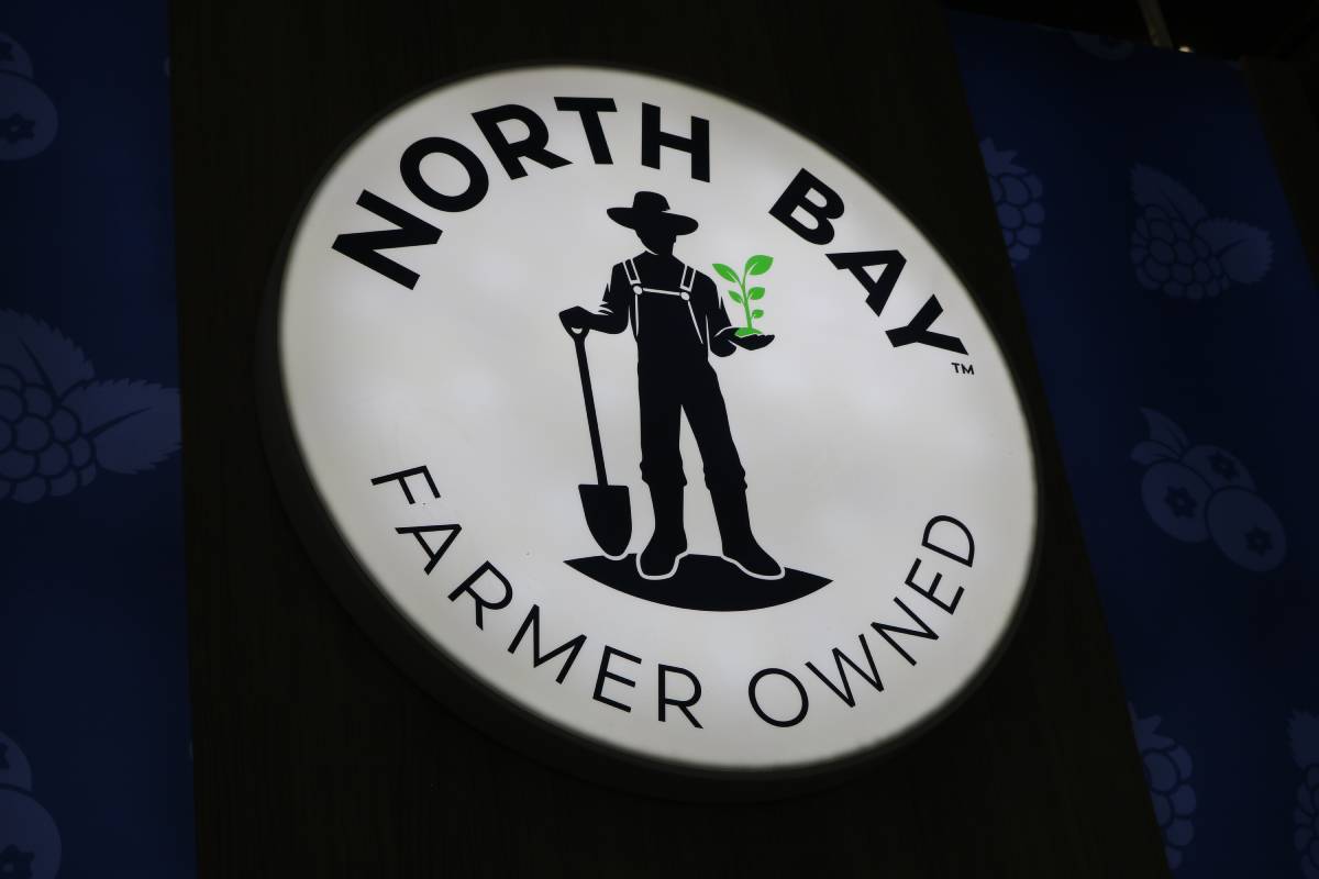 The heart of the harvest: North Bay Produce unveils global rebrand at Fruit Logistica 2026