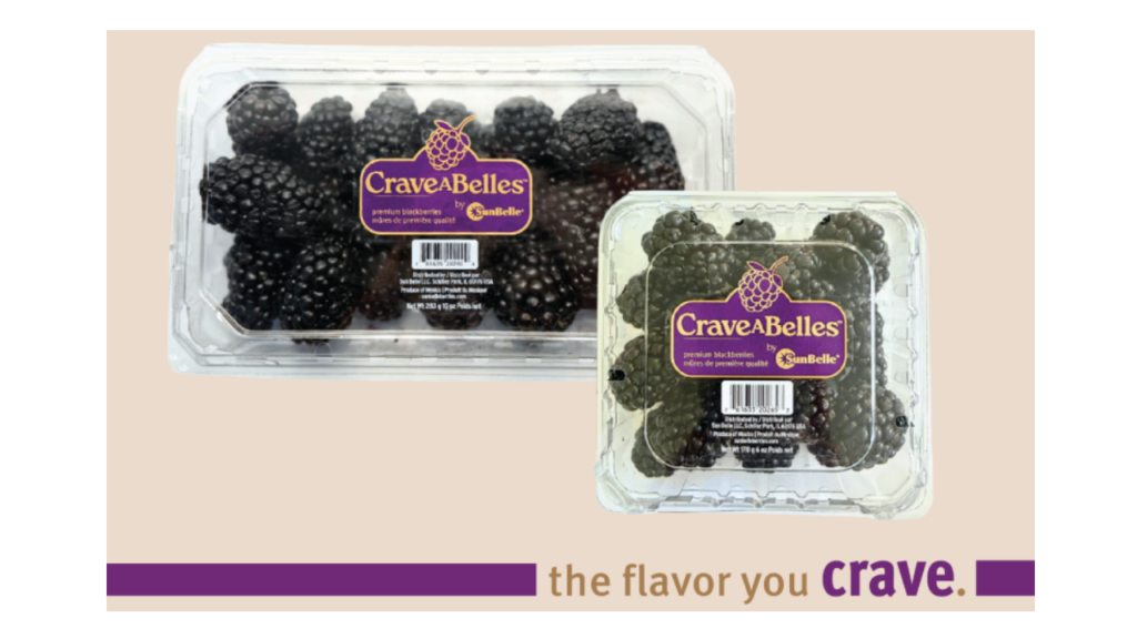 Sun Belle rolls out new premium blackberry label