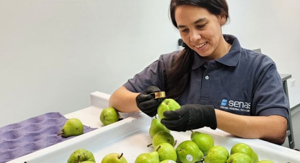 SENASA enables entomological unit to certify fresh fruit destined for the US