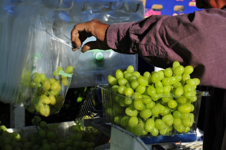 South Africa gains market access to export fresh table grapes to Korea