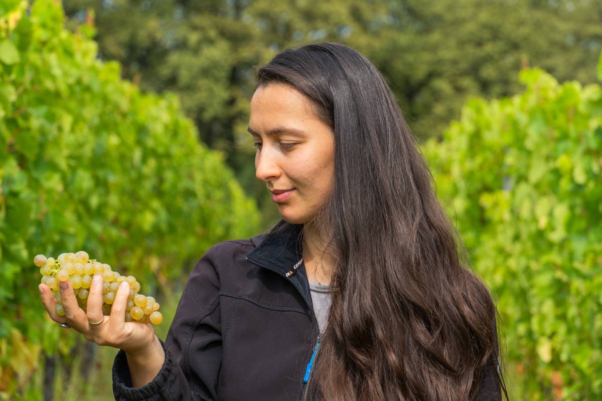 Beyond the cellar: The science and passion driving Georgia's shift to sustainable vineyard management
