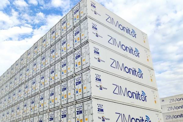 ZIM containers
