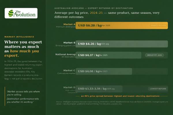 The Avolution price graphic