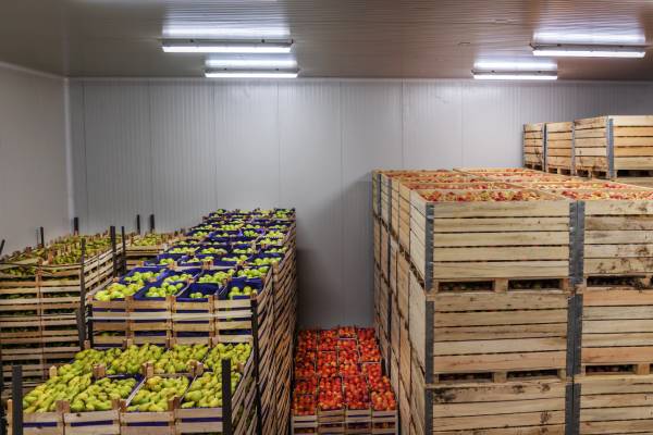 fruit in cold treatment