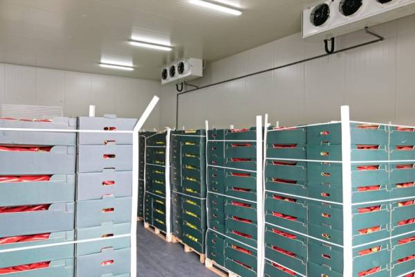 fruit in cold treatment