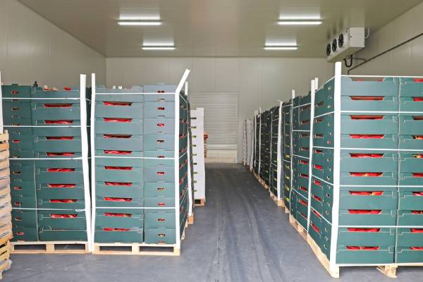 fruit in cold treatment