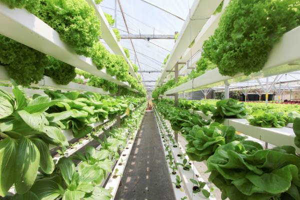 Vertical farming
