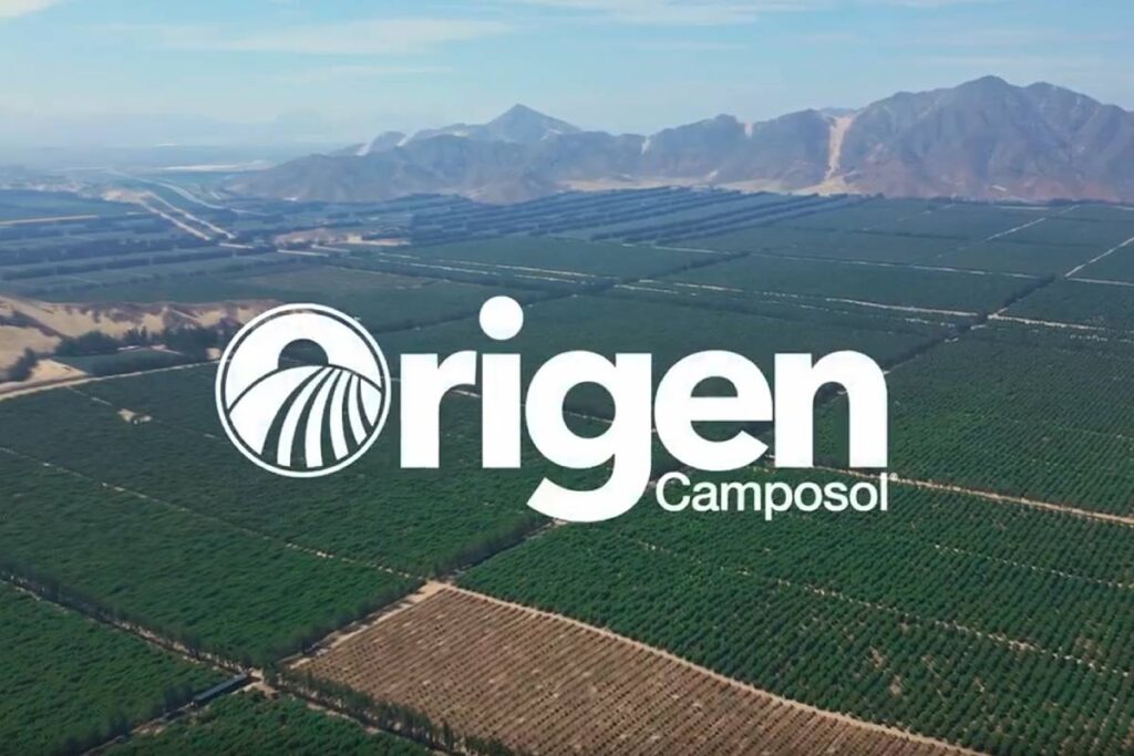 Camposol launches ORIGEN, its new blueberry genetic improvement program