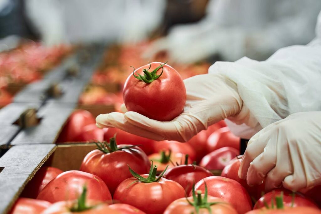 FDA establishes new Produce Safety Standards (PRPS) to boost oversight and consistency