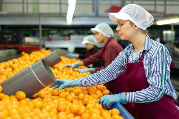 person inspecting produce, potentially under prps