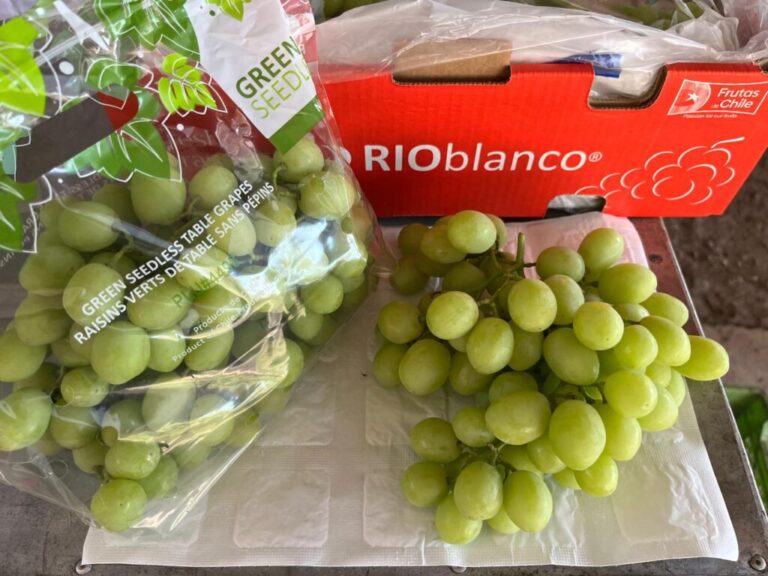 rioblanco grapes packing
