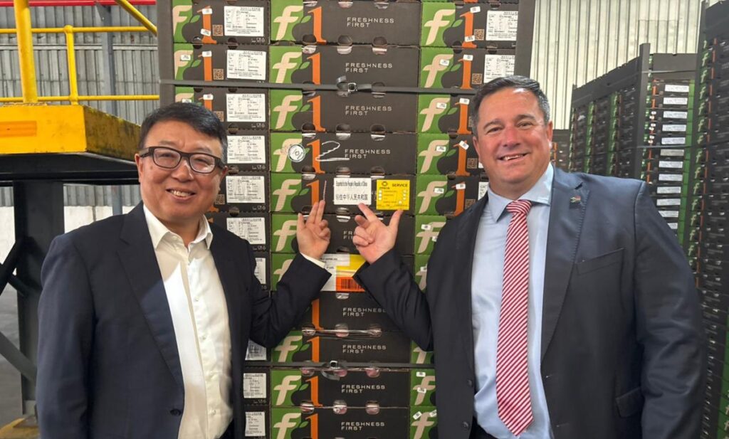 South Africa finalizes first stone fruit shipment to China, opening a new chapter for its export industry