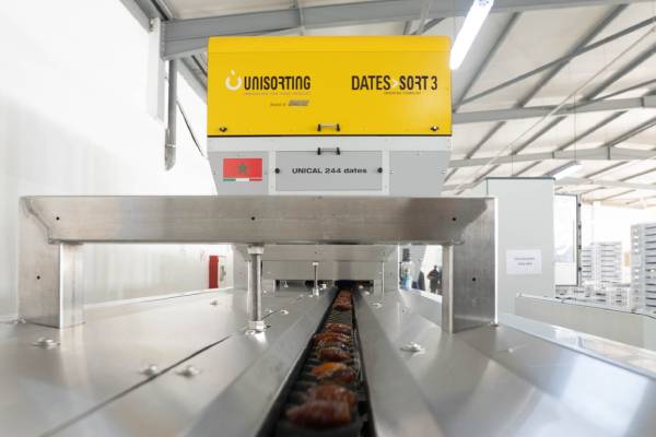 Unitec date sorting machine