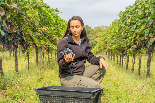 Georgian winemaking specialist Sophio Khutitdze