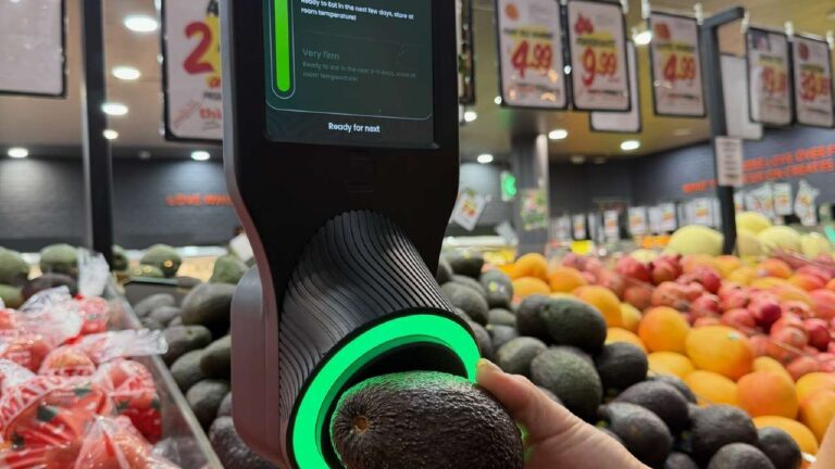 Innovative avocado scanner boosts sales and consumer confidence in Australia trial