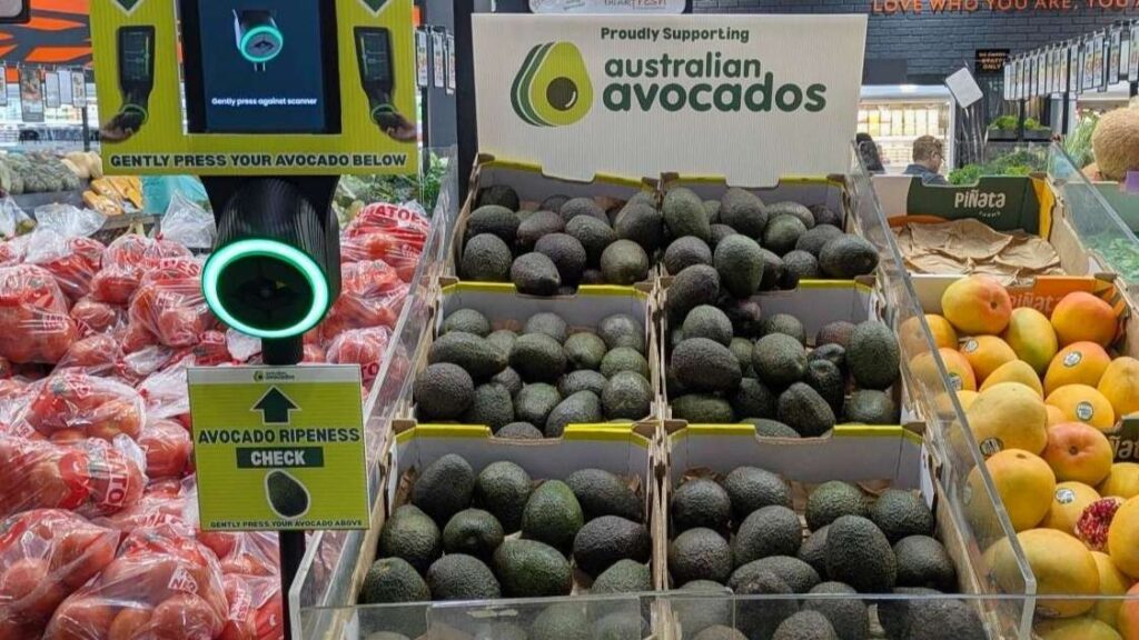 Australian avocado scanner boosts sales and consumer confidence ...