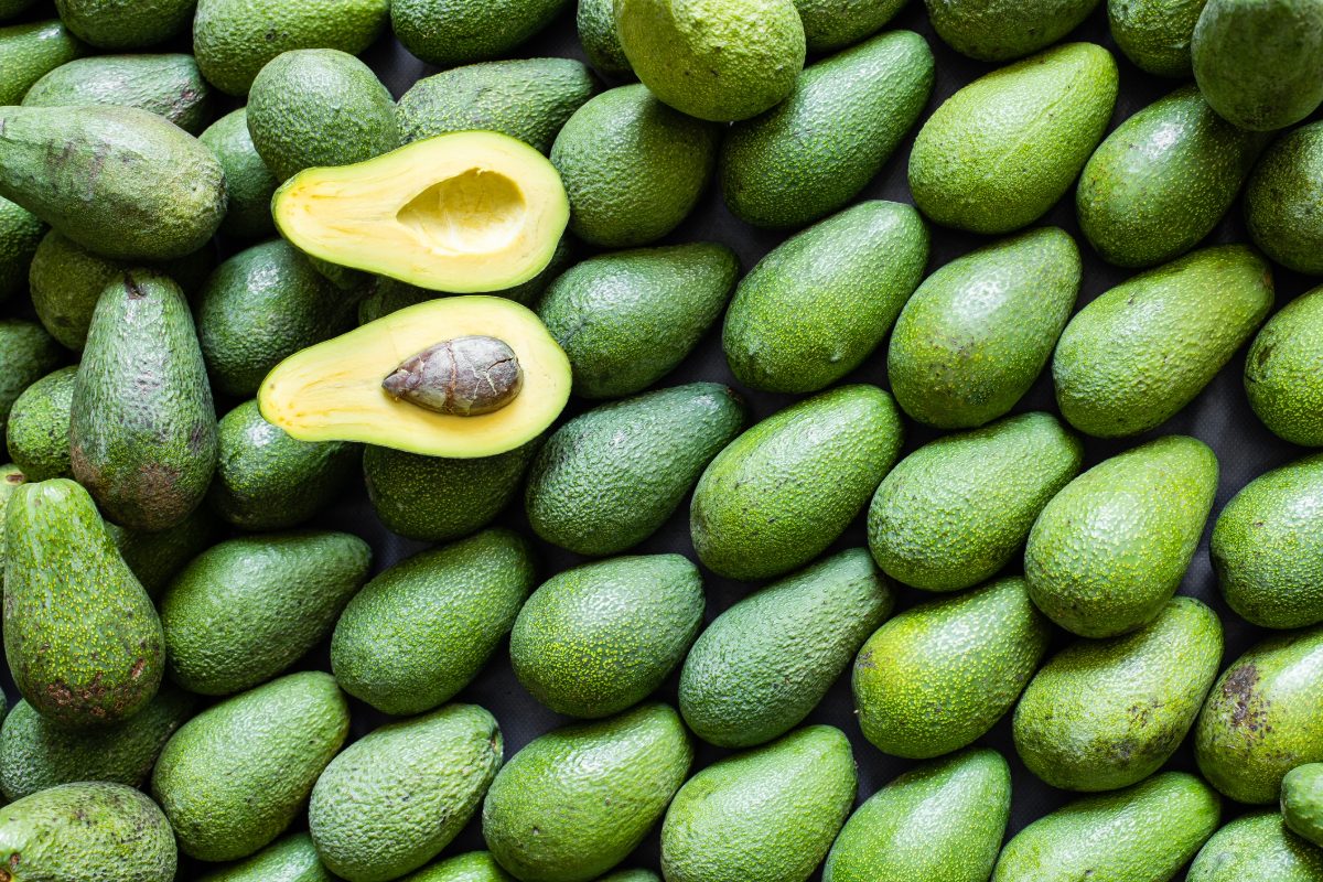 USDA allows for earlier shipping of Beta avocados
