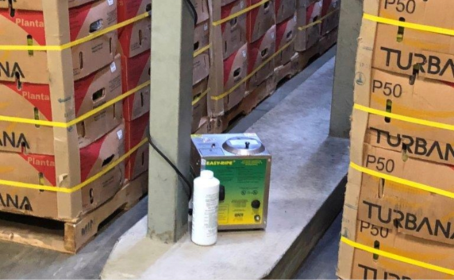 Catalytic Generators and Exp. Group: Scaling the art of ripening through a two-generation partnership