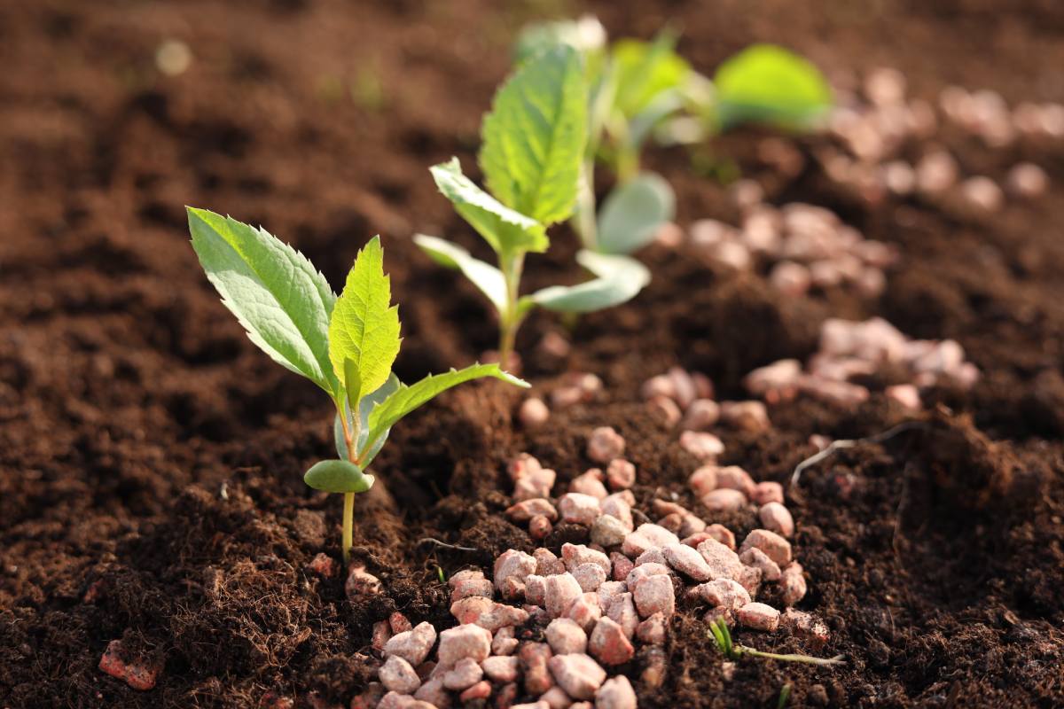 Opinion | Escalating conflict in the Middle East puts the global fertilizer market on alert once again