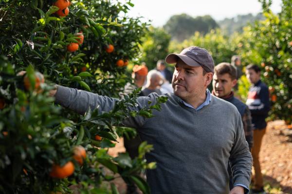 Genesis fresh citrus