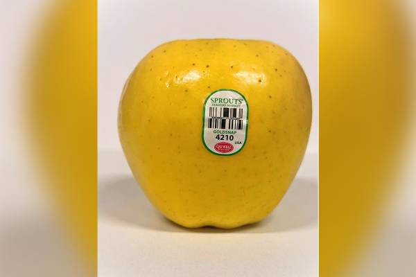 Gee Whiz Goldensnap apple