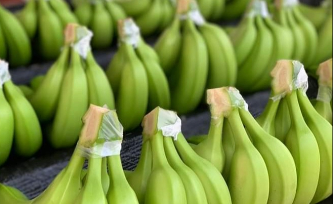 Ecuador and the United States sign trade agreement to boost Ecuadorian agro-exports