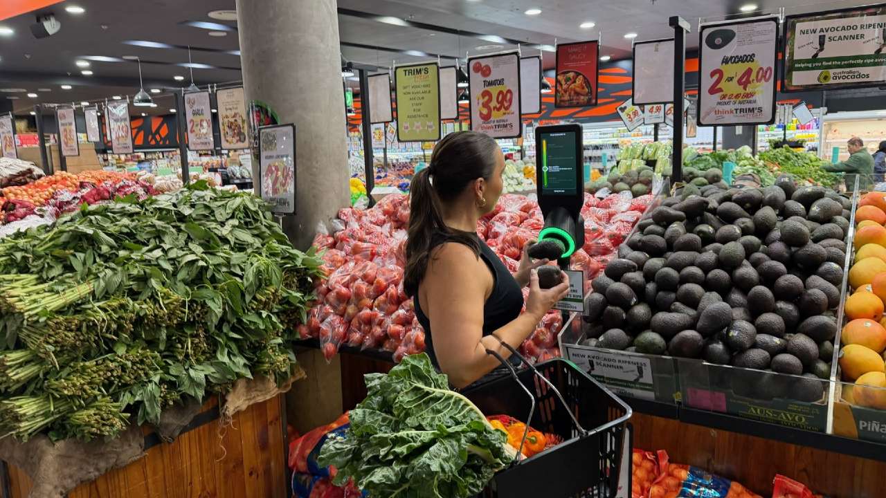 Avocado Ripe Detectpr Device Germany Australian avocado scanner boosts sales and consumer confidence ...