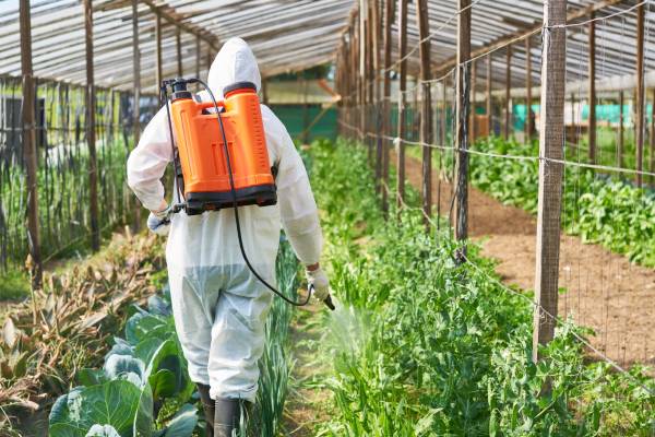 pesticides in green house
