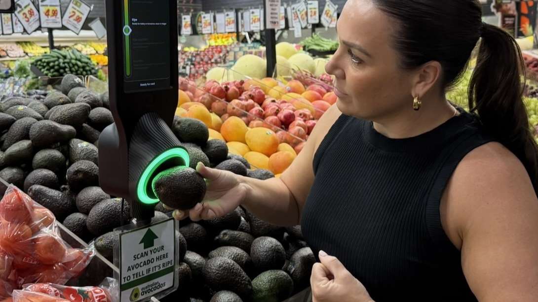 Innovative avocado scanner boosts sales and consumer confidence in Australia trial