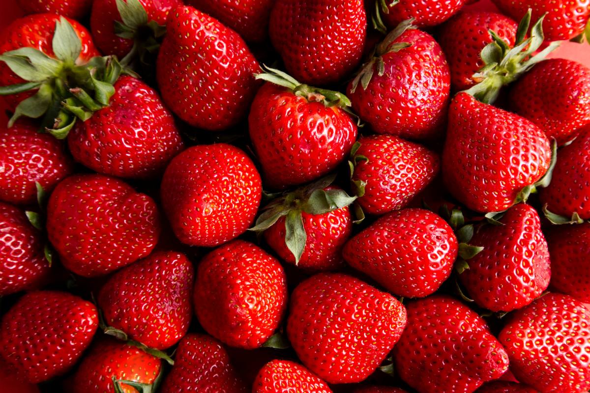 Mexican strawberry industry calls for calm in the midst of the US anti-dumping probe