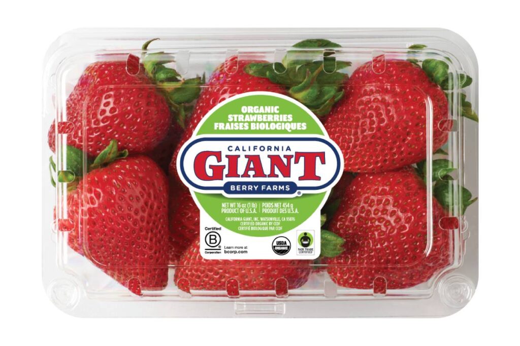 California Giant Berry Farms celebrates B corp month by advancing “Berries with Purpose” sustainability milestones